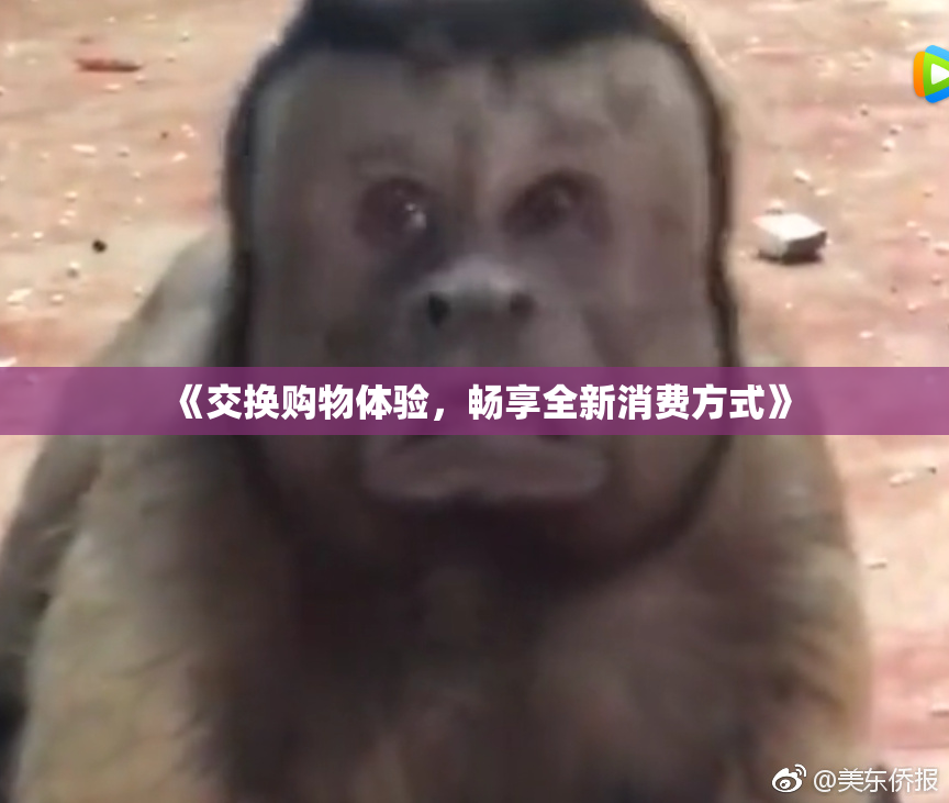 《交换购物体验，畅享全新消费方式》