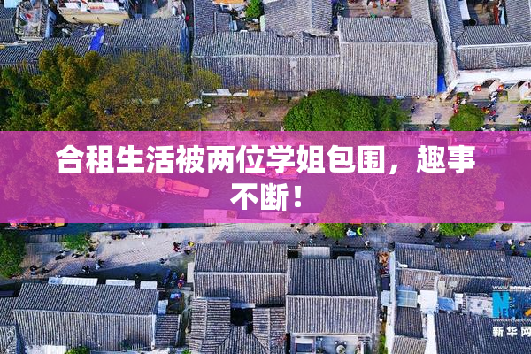 合租生活被两位学姐包围，趣事不断！
