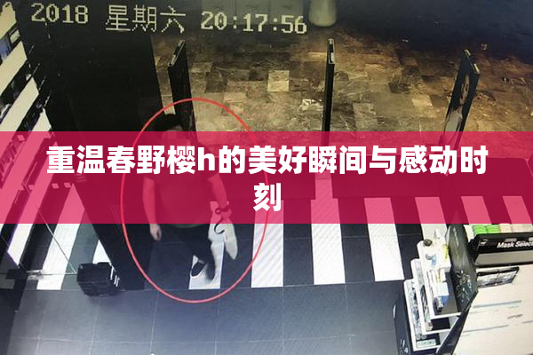 重温春野樱h的美好瞬间与感动时刻