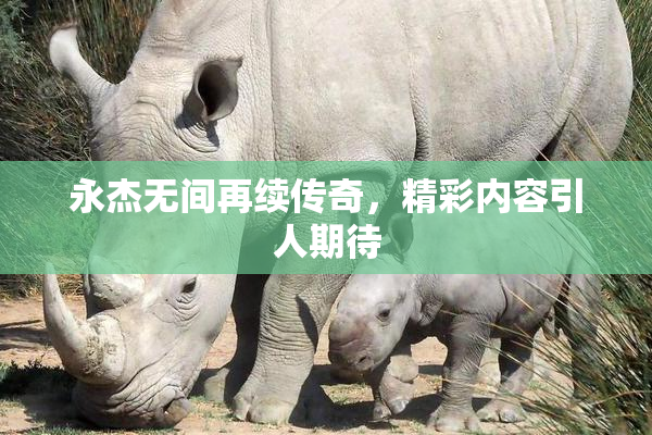 永杰无间再续传奇，精彩内容引人期待