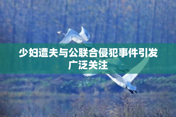 少妇遭夫与公联合侵犯事件引发广泛关注