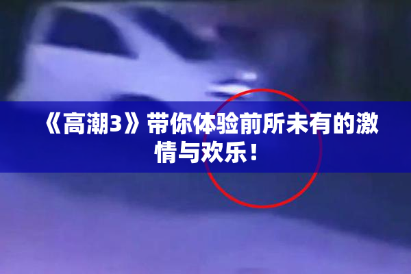 《高潮3》带你体验前所未有的激情与欢乐！