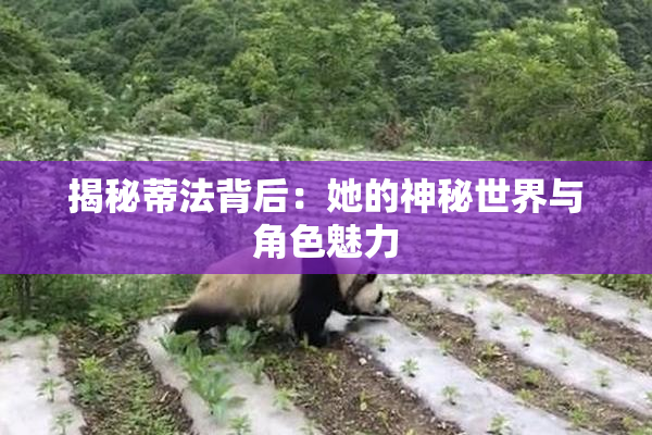 揭秘蒂法背后：她的神秘世界与角色魅力