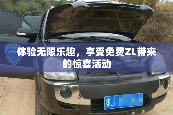 体验无限乐趣，享受免费ZL带来的惊喜活动