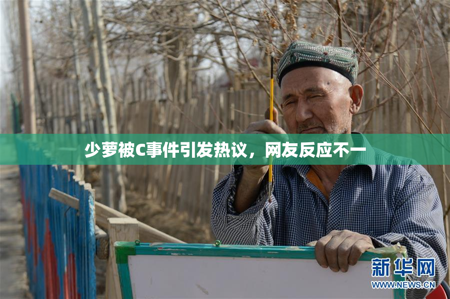 少萝被C事件引发热议，网友反应不一