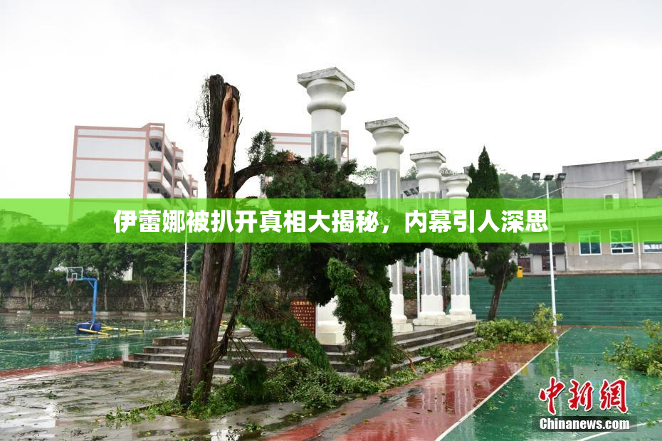 伊蕾娜被扒开真相大揭秘，内幕引人深思