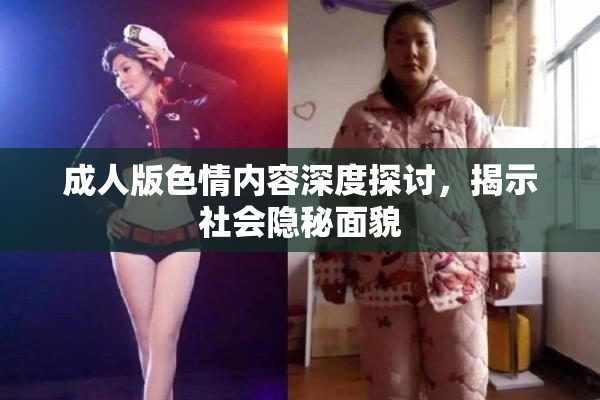成人版色情内容深度探讨，揭示社会隐秘面貌