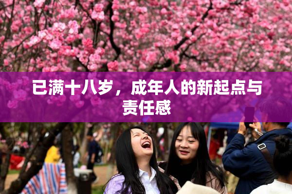 已满十八岁，成年人的新起点与责任感