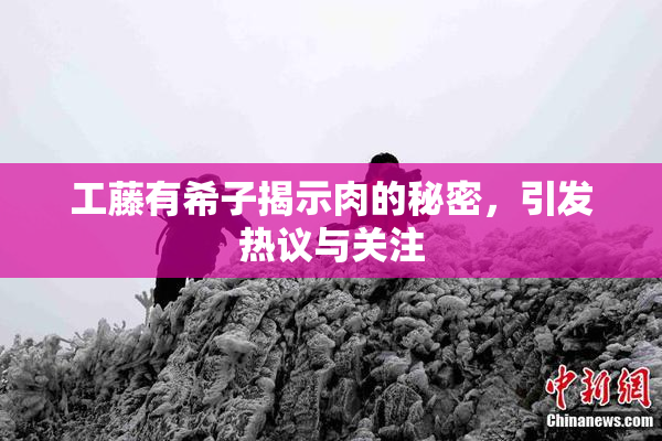 工藤有希子揭示肉的秘密，引发热议与关注