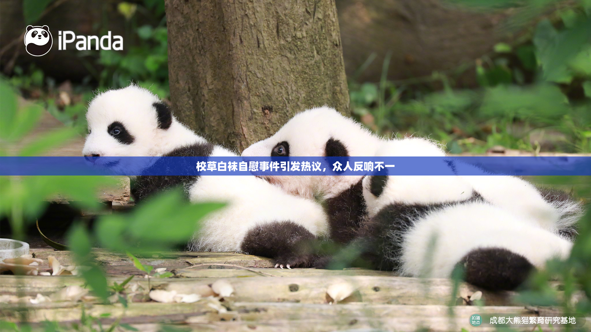 校草白袜自慰事件引发热议，众人反响不一