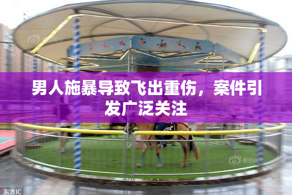 男人施暴导致飞出重伤，案件引发广泛关注