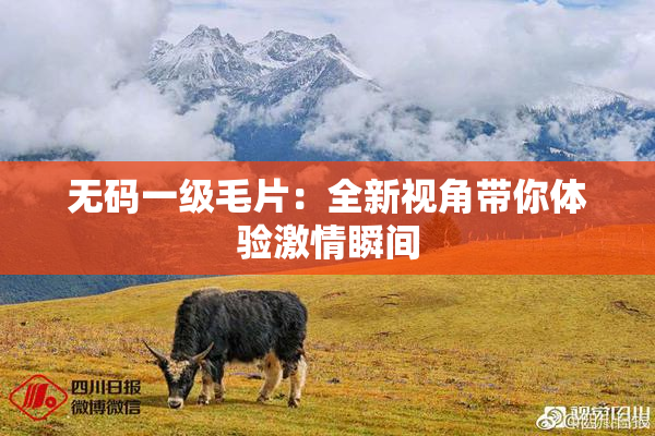无码一级毛片：全新视角带你体验激情瞬间