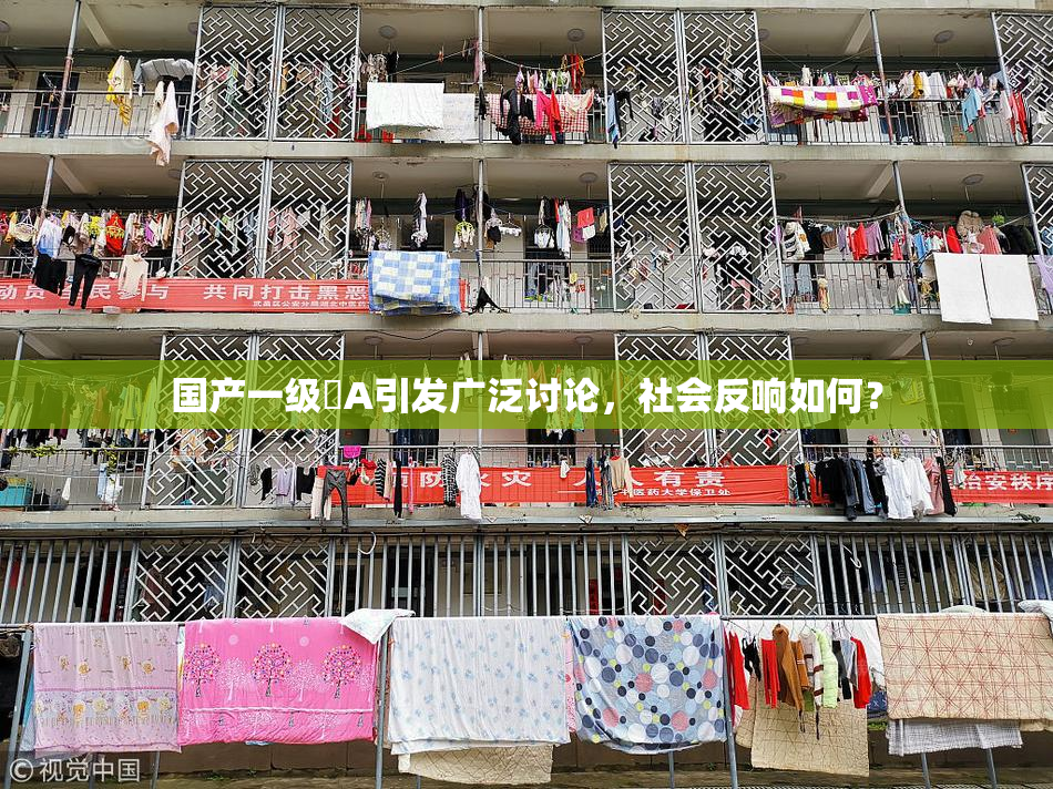 国产一级婬A引发广泛讨论，社会反响如何？