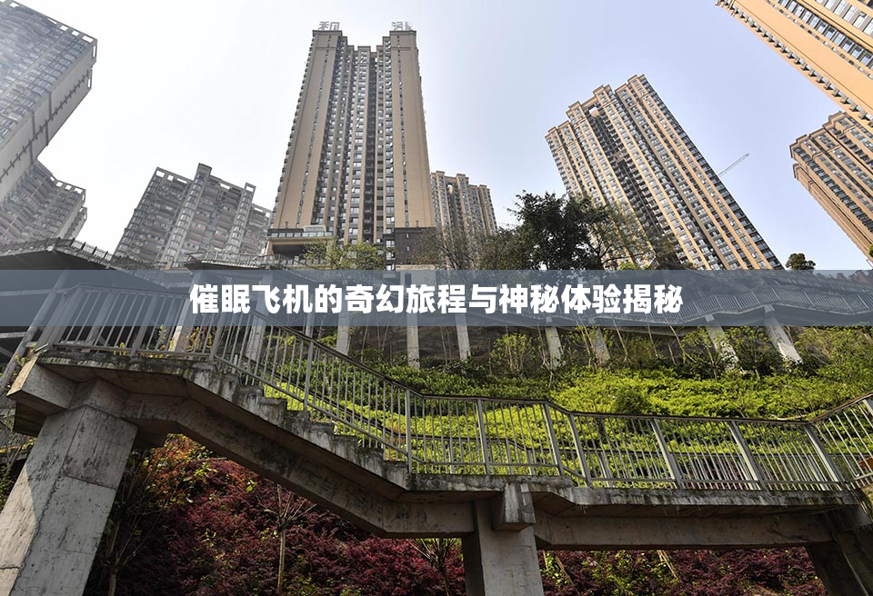 催眠飞机的奇幻旅程与神秘体验揭秘