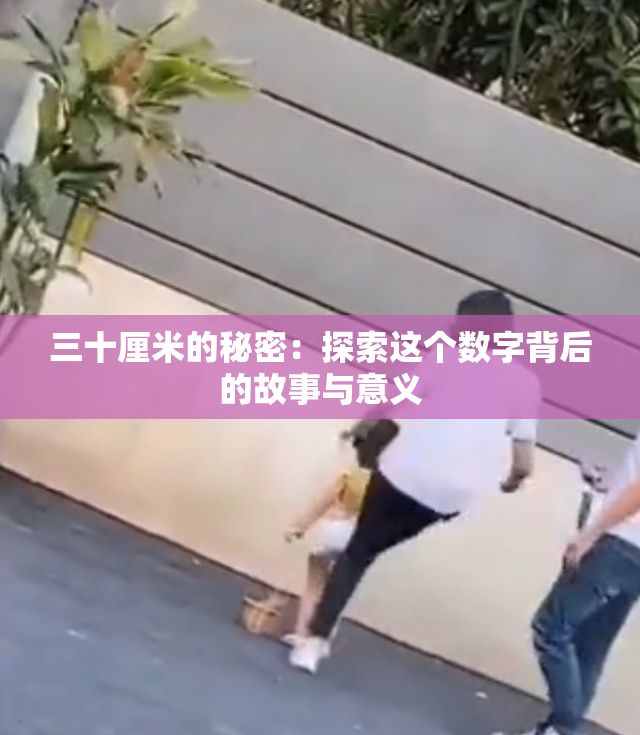 三十厘米的秘密：探索这个数字背后的故事与意义