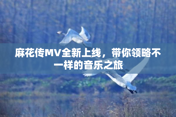 麻花传MV全新上线，带你领略不一样的音乐之旅