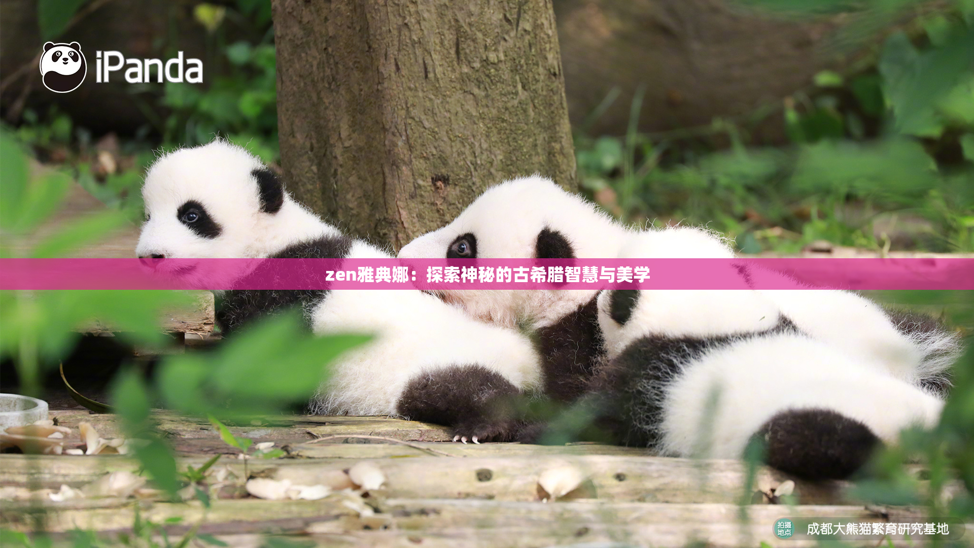 zen雅典娜：探索神秘的古希腊智慧与美学