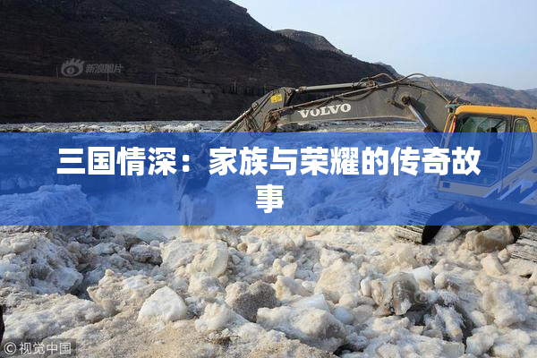 三国情深：家族与荣耀的传奇故事