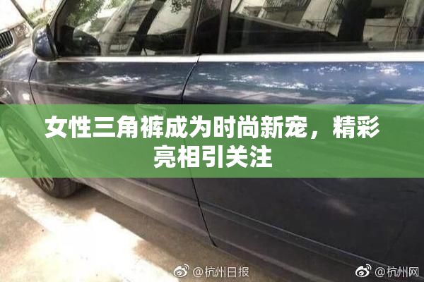 女性三角裤成为时尚新宠，精彩亮相引关注