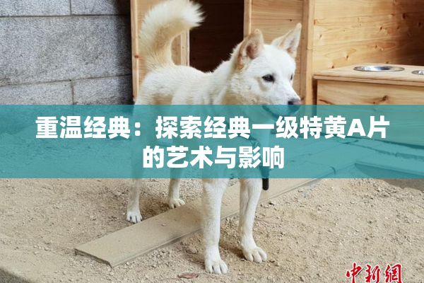 重温经典：探索经典一级特黄A片的艺术与影响