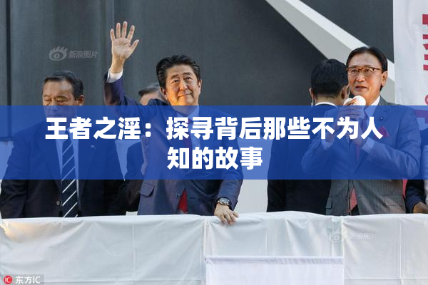 王者之淫：探寻背后那些不为人知的故事
