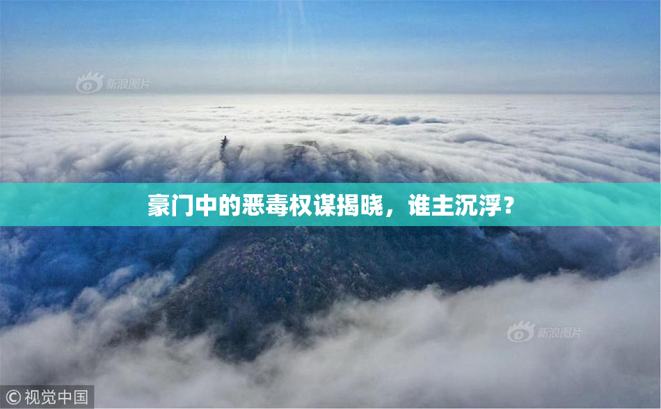 豪门中的恶毒权谋揭晓，谁主沉浮？