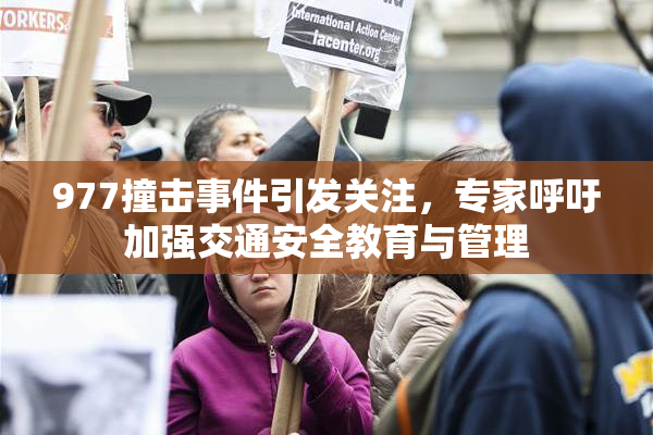 977撞击事件引发关注，专家呼吁加强交通安全教育与管理