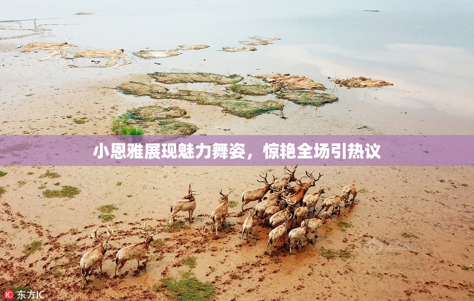 小恩雅展现魅力舞姿，惊艳全场引热议
