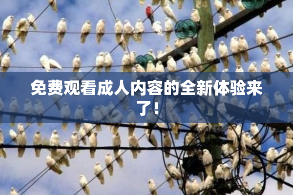免费观看成人内容的全新体验来了！