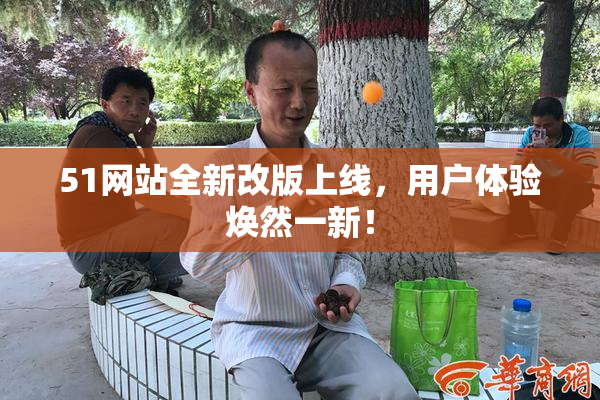 51网站全新改版上线，用户体验焕然一新！