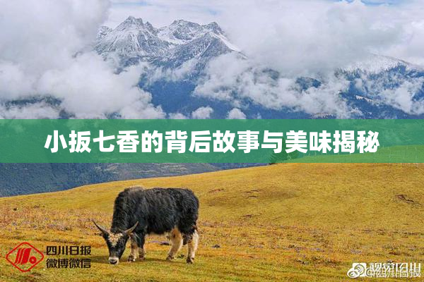 小扳七香的背后故事与美味揭秘