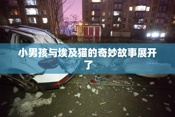 小男孩与埃及猫的奇妙故事展开了