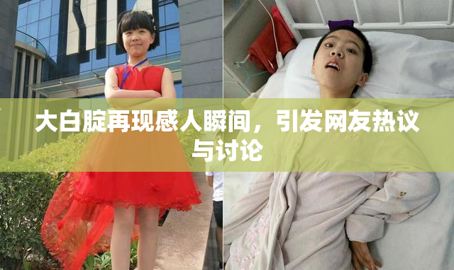 大白腚再现感人瞬间，引发网友热议与讨论