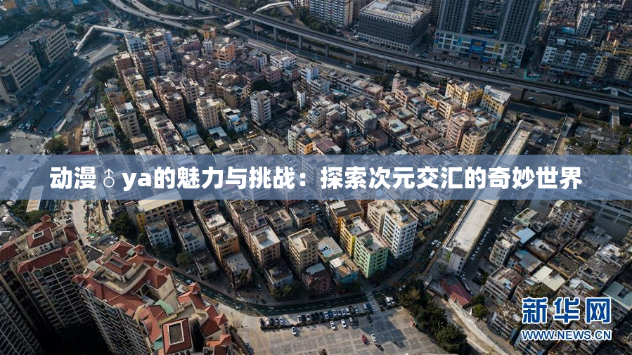 动漫♂ya的魅力与挑战：探索次元交汇的奇妙世界
