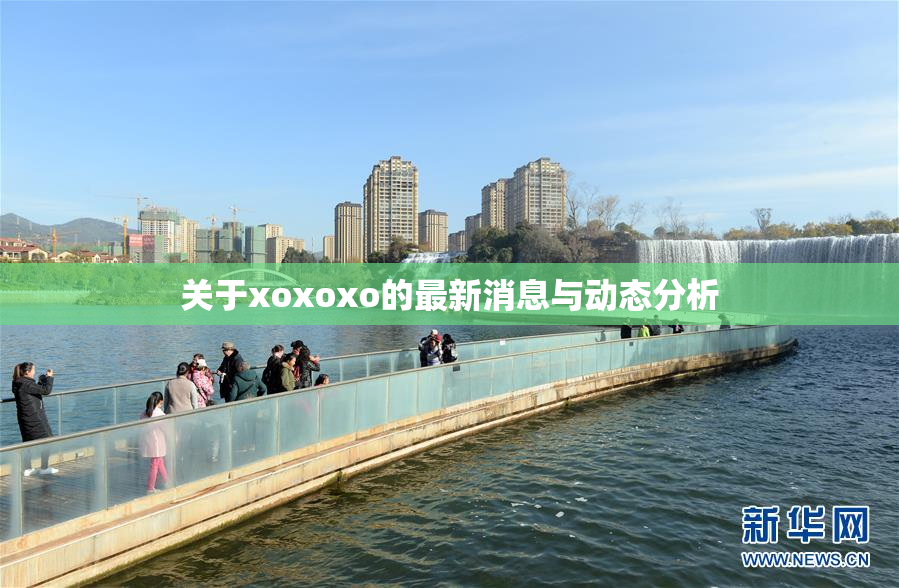 关于xoxoxo的最新消息与动态分析