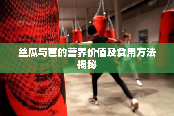 丝瓜与芭的营养价值及食用方法揭秘