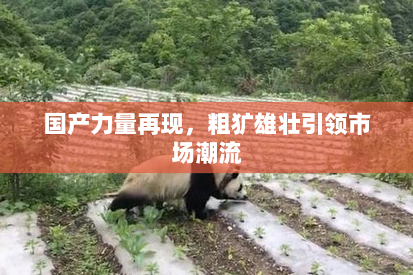 国产力量再现，粗犷雄壮引领市场潮流
