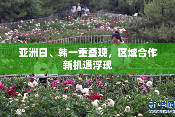 亚洲日、韩一重叠现，区域合作新机遇浮现