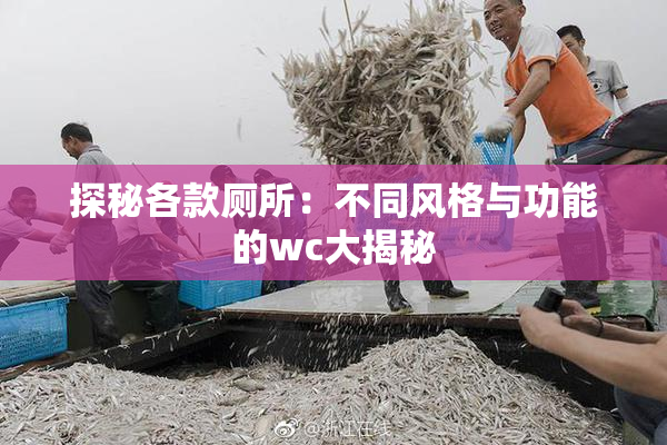 探秘各款厕所：不同风格与功能的wc大揭秘