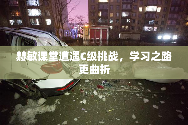 赫敏课堂遭遇C级挑战，学习之路更曲折