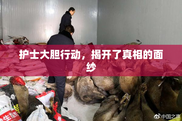 护士大胆行动，揭开了真相的面纱