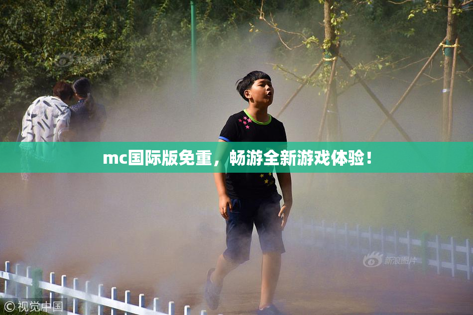 mc国际版免重，畅游全新游戏体验！