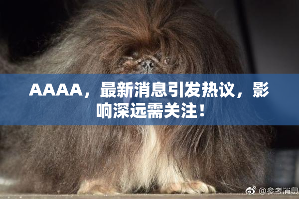 AAAA，最新消息引发热议，影响深远需关注！