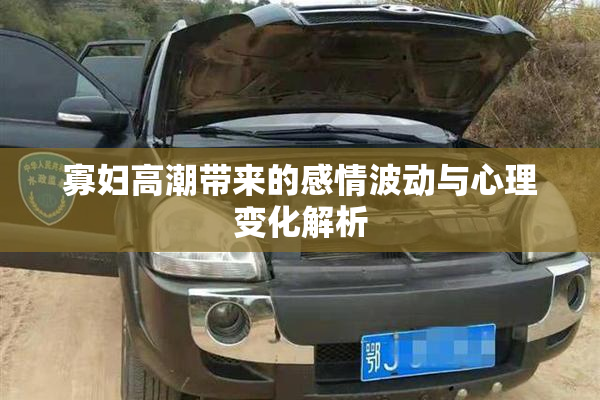 寡妇高潮带来的感情波动与心理变化解析