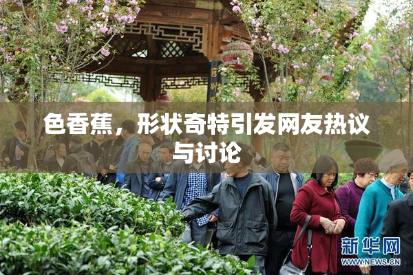 色香蕉，形状奇特引发网友热议与讨论