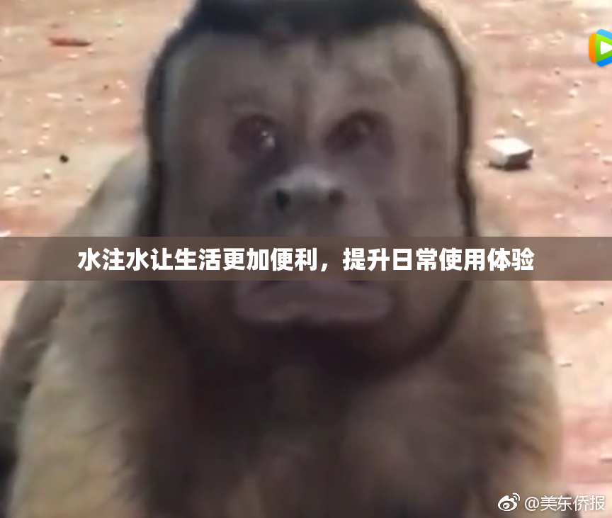 水注水让生活更加便利，提升日常使用体验