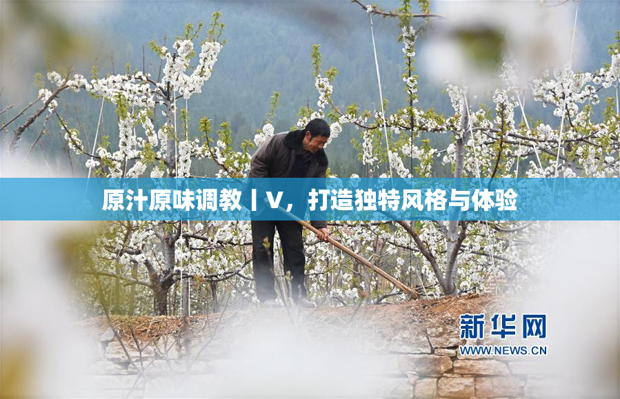 原汁原味调教丨V，打造独特风格与体验