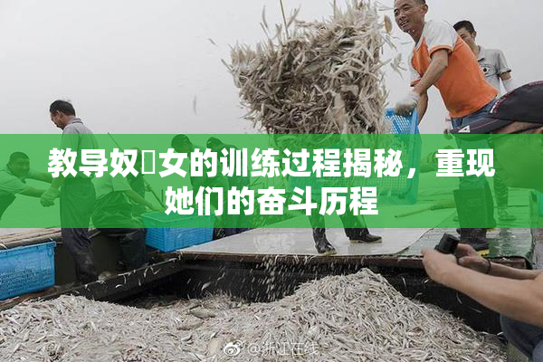教导奴隸女的训练过程揭秘，重现她们的奋斗历程