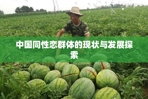 中国同性恋群体的现状与发展探索
