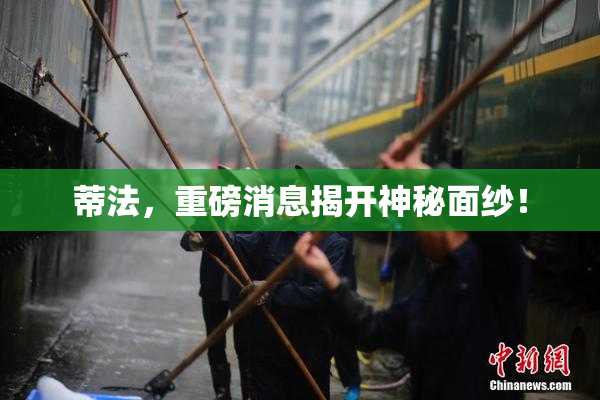 蒂法，重磅消息揭开神秘面纱！